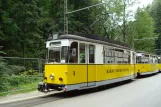 Bad Schandau Kirnitzschtal 241 med motorvogn 1 ved Beuthenfall (2011)