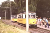 Bad Schandau Kirnitzschtal 241 med motorvogn 6 ved Kurpark (1990)