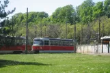 Bratislava motorvogn 7706 ved Stn. Vinohrady (2008)