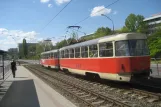 Bratislava sporvognslinje 1 med motorvogn 7806 ved Botanická záhrada (2008)