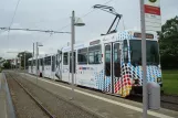 Braunschweig sporvognslinje 1 med ledvogn 8153 ved Stöckheim Salzdahlumer Weg (2012)