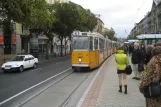 Budapest sporvognslinje 6 med ledvogn 1446 ved Jászai Mari tér (2006)