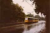 Dresden sporvognslinje 16 med motorvogn 222-479-8 nær Zellescher Weg (1990)