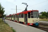 Frankfurt (Oder) ekstralinje 5 med ledvogn 224 ved Neuberesinchen (2008)