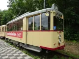 Hannover Hohenfelser Wald med motorvogn 236 ved Straßenbahn-Haltestelle (2020)