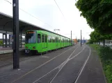 Hannover sporvognslinje 9 med ledvogn 6194 ved Empelde (2018)