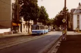 Plauen sporvognslinje 1 med ledvogn 207 nær Seumegstraße (1990)