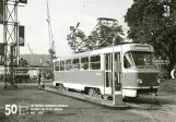 Postkort: 50 Let provozu moderních tramvají
 (1965)