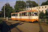 Postkort: Braunschweig sporvognslinje 5 med ledvogn 6954 ved Weserstr. (1983)