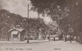 Postkort: Den Haag - The Hague - La Haye.
 (1914-1916)