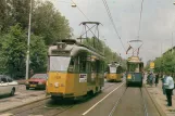 Postkort: Rotterdam motorvogn 109 på Johan Huizingalaan (1981)