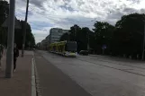 Riga sporvognslinje 11 med lavgulvsledvogn 57191, forsiden Aspazijas bulvāris (2018)