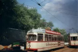 Schönberger Strand motorvogn 241 på Museumsbahnen (1997)