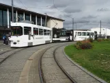 Würzburg ledvogn 208 ved Hauptbahnhof (2024)