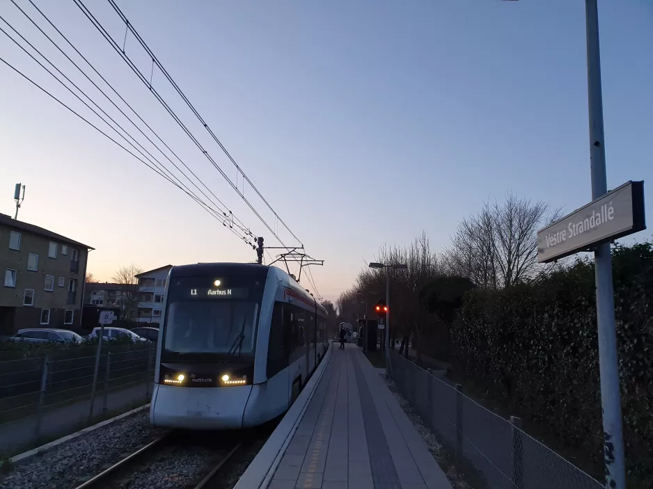 Aarhus letbanelinje L1 med lavgulvsledvogn 2105-2205 ved Vestre Strandallé (2020)