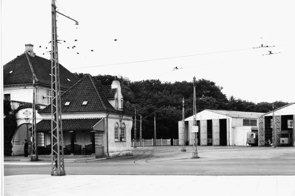 Arkivfoto: Aarhus foran Dalgas Avenue (1954)