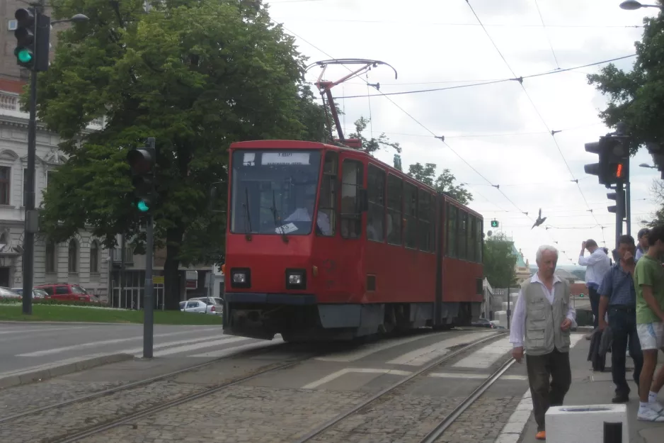 Beograd sporvognslinje 13 med ledvogn 377 på Nemanjina (2008)