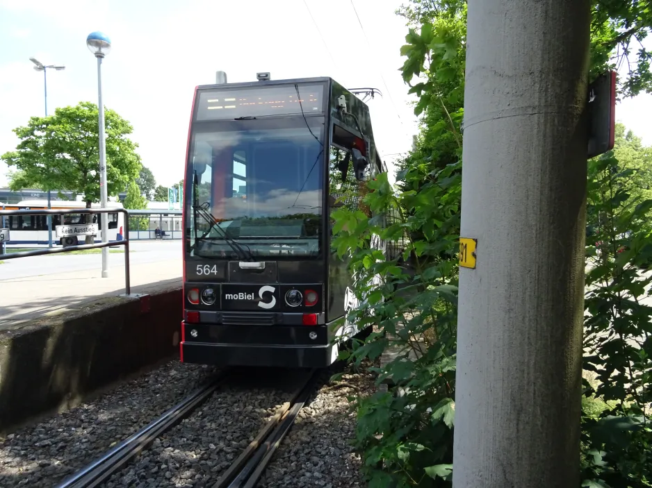 Bielefeld sporvognslinje 3 med ledvogn 564 ved Babenhausen Süd (2024)