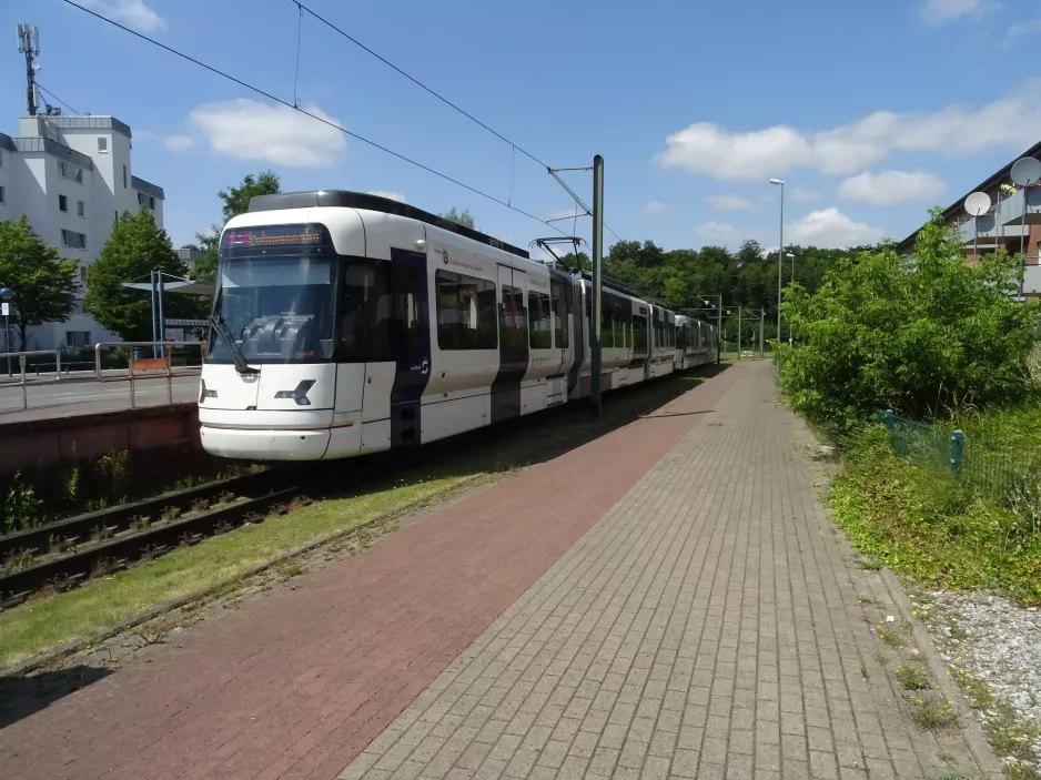 Bielefeld sporvognslinje 4 med ledvogn 5011 "Holtkamp" ved Lohmannshof (2022)