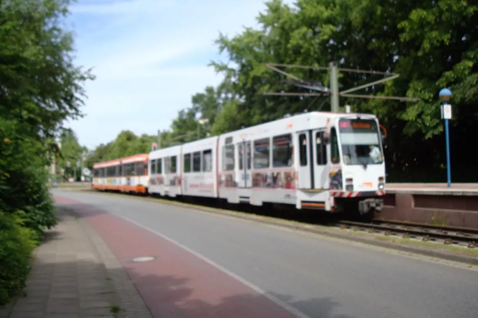 Bielefeld sporvognslinje 4 med ledvogn 555 ved Graf-von-Stauffenberg-Straße (2016)