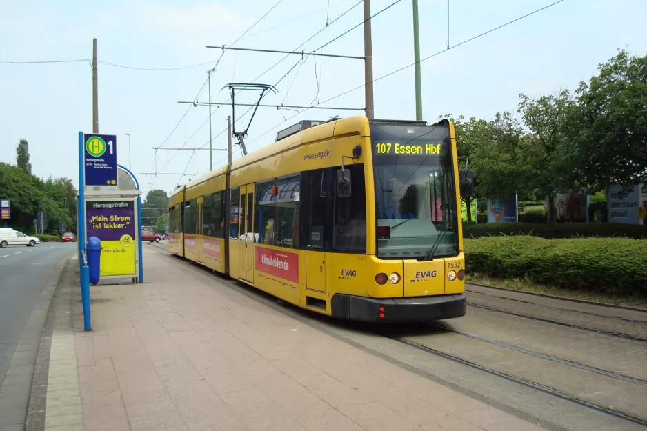 Bochum sporvognslinje 107 med lavgulvsledvogn 1532 ved Herzogstraße (2010)