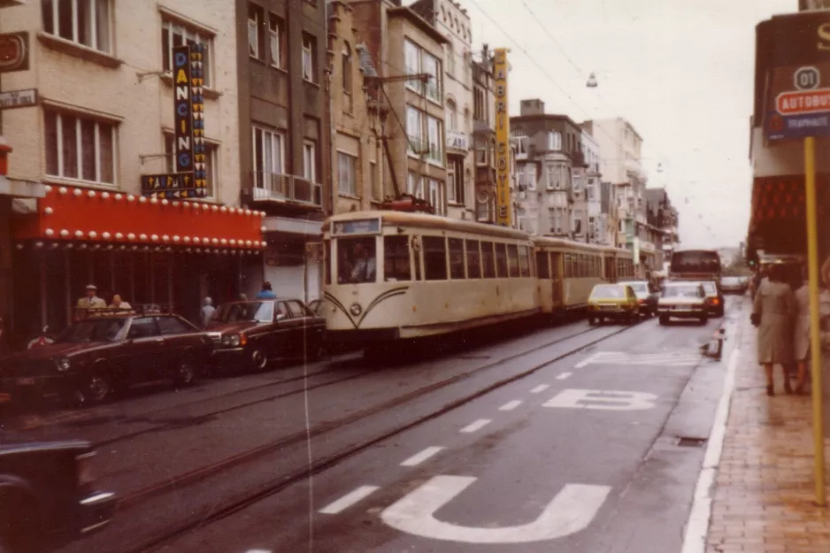 Bruxelles De Kusttram på Duinkerkelaan, De Panne (1981)