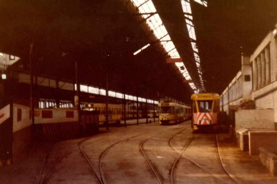 Bruxelles inde i Avenue du Roi (1981)