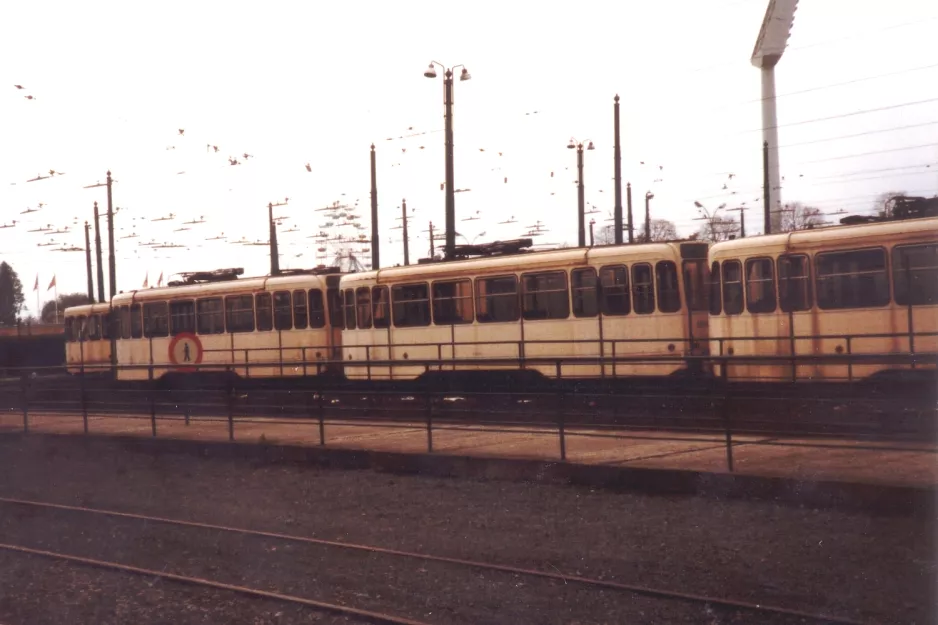 Bruxelles ved Heizel / Heysel (1981)