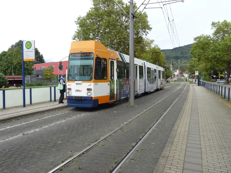 Heidelberg sporvognslinje 24 med ledvogn 3252 ved Heiligenbergschule (2024)