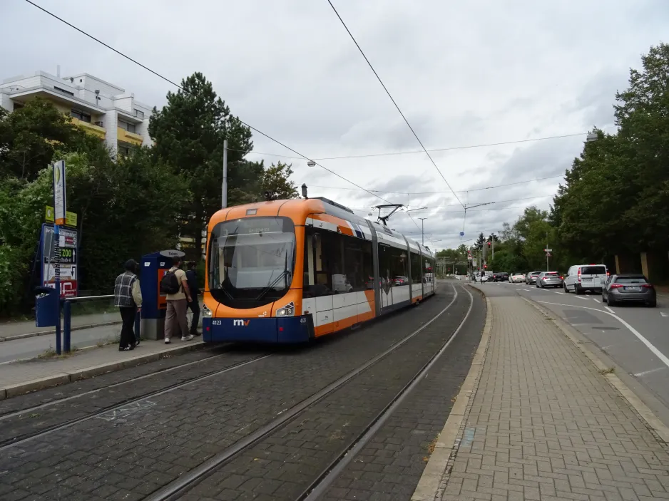 Mannheim regionallinje 5 med lavgulvsledvogn 4123 ved Burgstraße (2024)