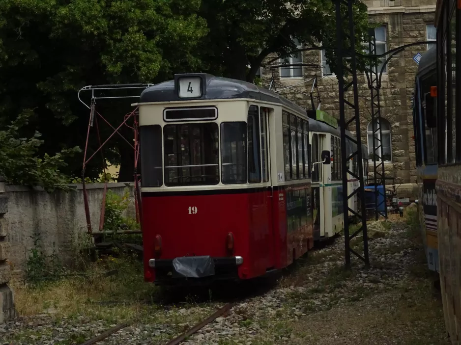 Naumburg (Saale) bivogn 19 ved Naumburger Straßenbahn (2023)