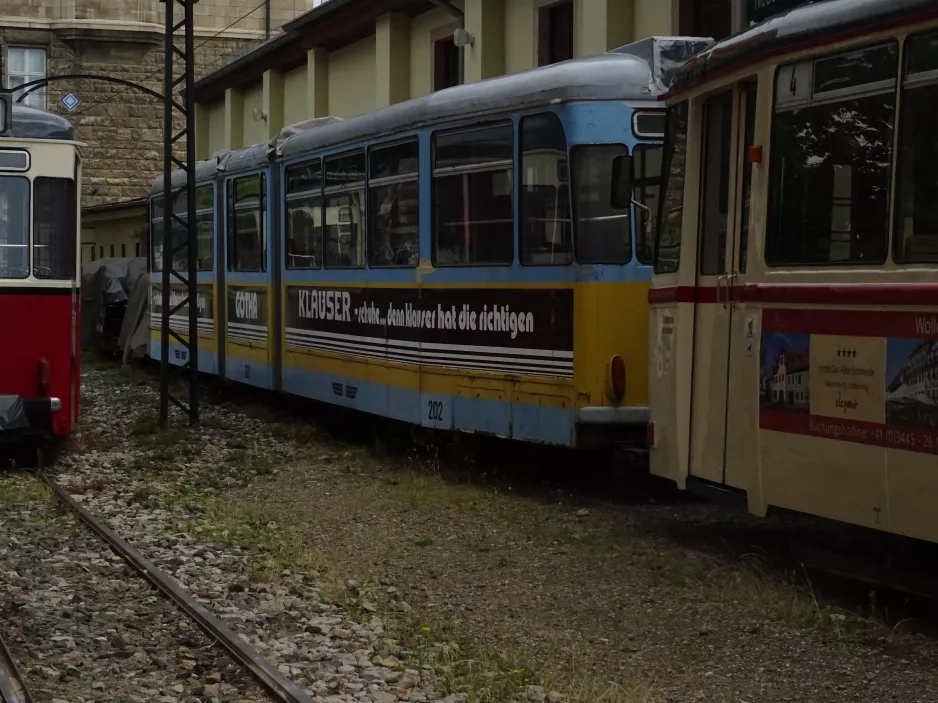 Naumburg (Saale) ledvogn 202 ved Naumburger Straßenbahn (2023)