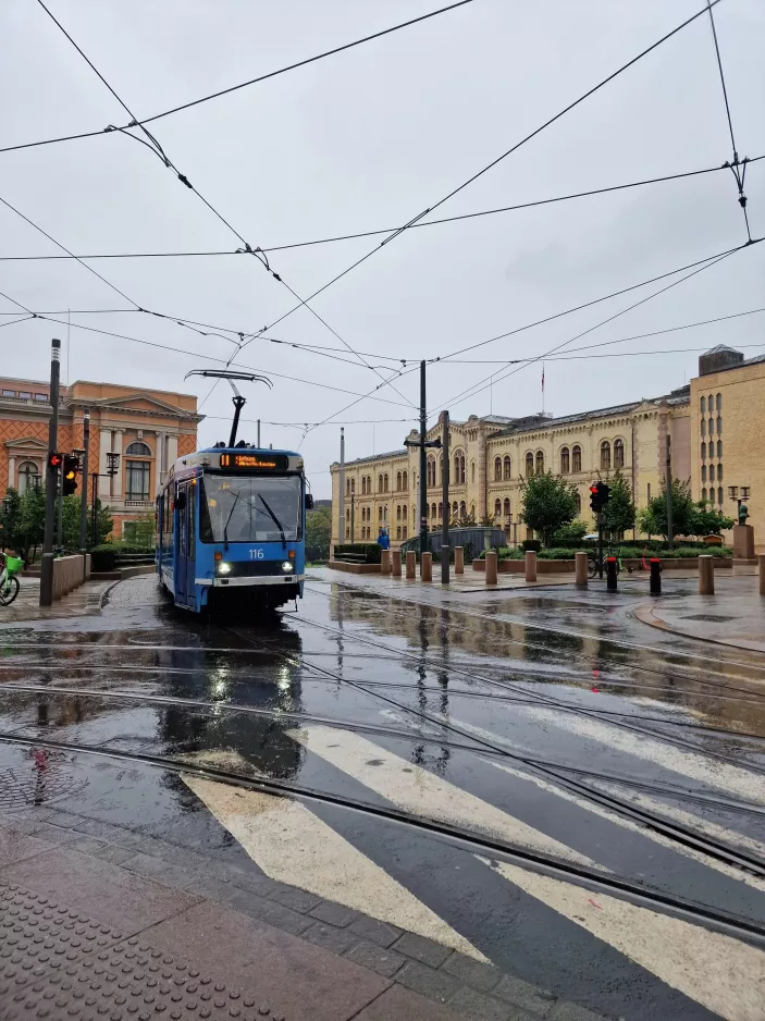 Oslo sporvognslinje 11 med ledvogn 116 på Wessels Plass (2023)