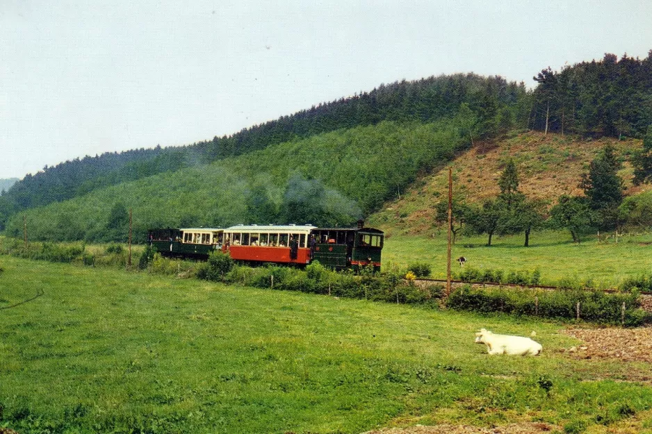 Postkort: Erezée med dampmotorvogn 1076 nær Rue de Dochamps (1970)