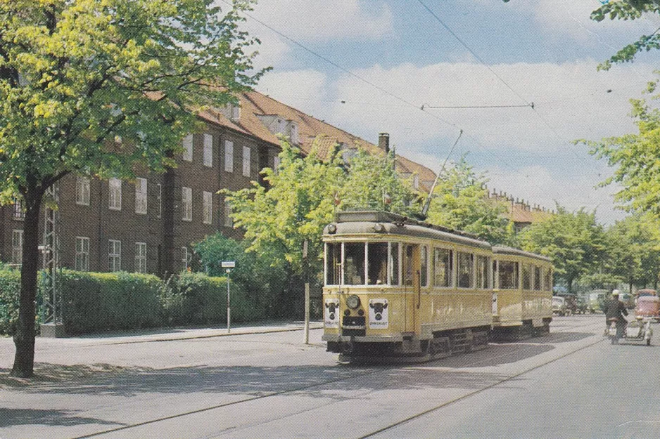 Postkort: København dyrskuelinje Buh på Borups Allé (1963)