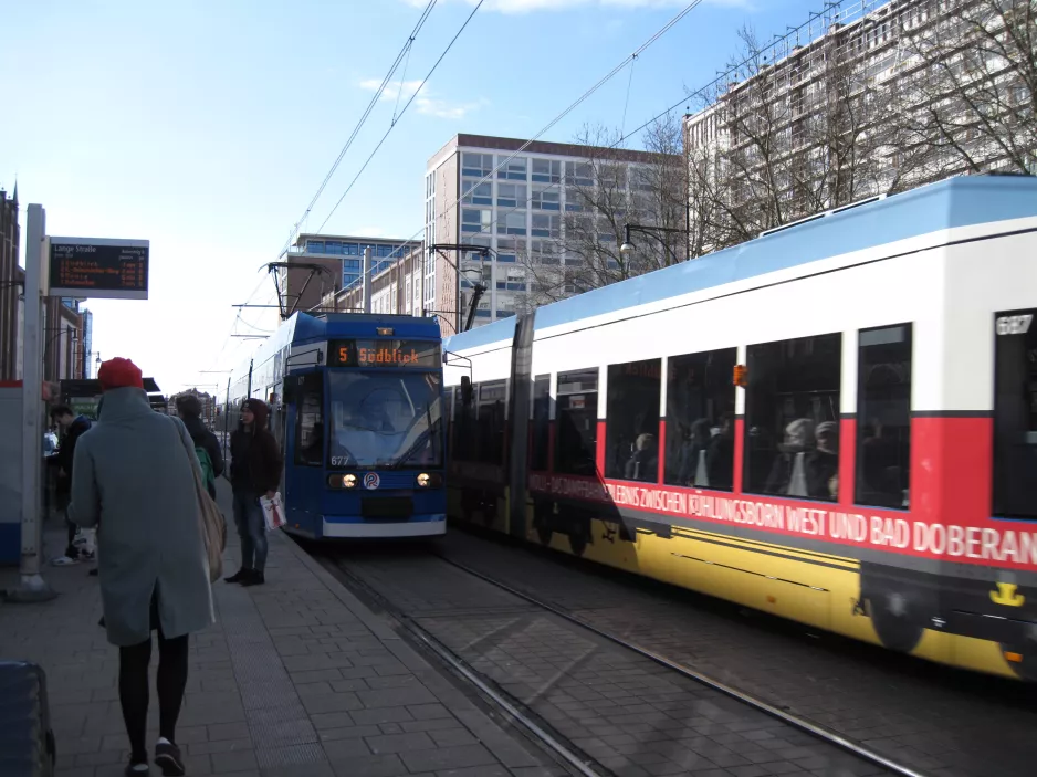 Rostock sporvognslinje 5 med lavgulvsledvogn 677 ved Lange Straße (2015)