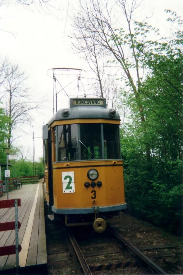 Skjoldenæsholm 1000 mm med motorvogn 3 ved Indgangen (2002)