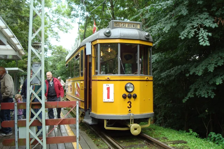 Skjoldenæsholm 1000 mm med motorvogn 3 ved Indgangen (2013)