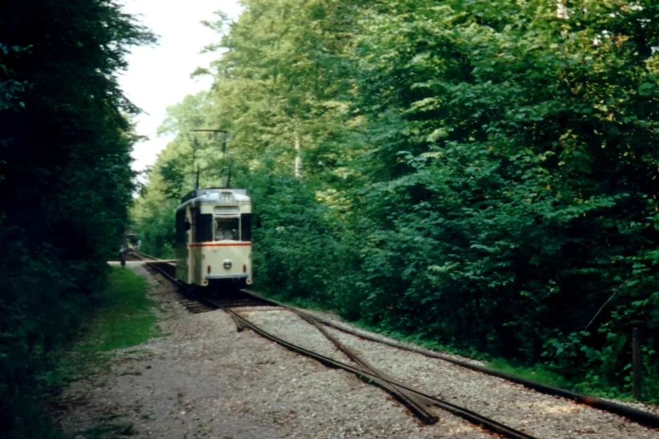 Skjoldenæsholm 1435 mm med motorvogn 797 nær Skovkanten (1996)