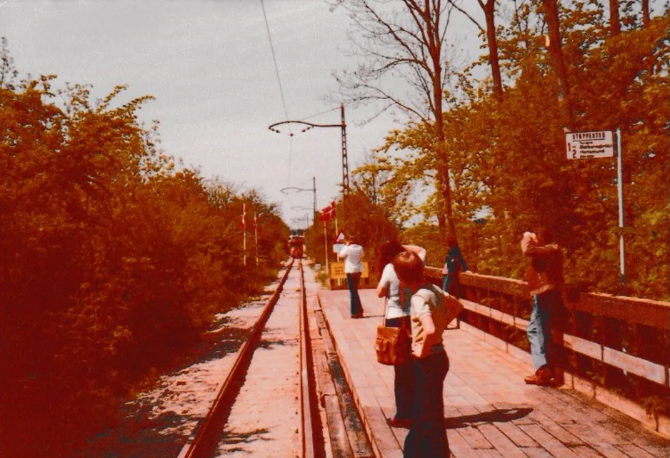 Skjoldenæsholm meterspor med motorvogn 1 på strækningen (1978)