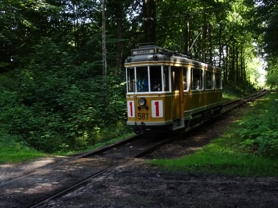 Skjoldenæsholm normalspor med motorvogn 587 tæt på Skovkanten (2024)