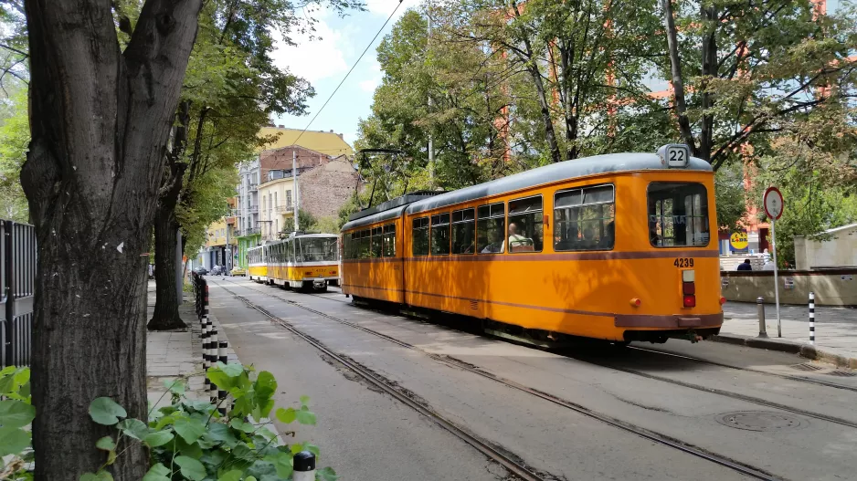 Sofia sporvognslinje 22 med ledvogn 4239 på bul. "Yanko Sakazov", set bagfra (2014)