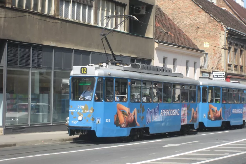 Zagreb sporvognslinje 12 med motorvogn 229 på Vlaška ulica (2008)