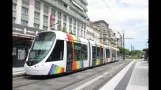 Angers Trams juni 2012