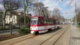 Gotha sporvogn bylinje (2018)