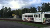 Særlig rejse til Dessau (2015)
