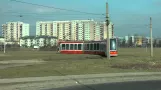 Sporvogne Częstochowa (2014)