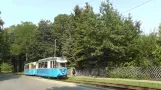 Woltersdorf sporvogn - korte indtryk med historiske køretøjer (2015)