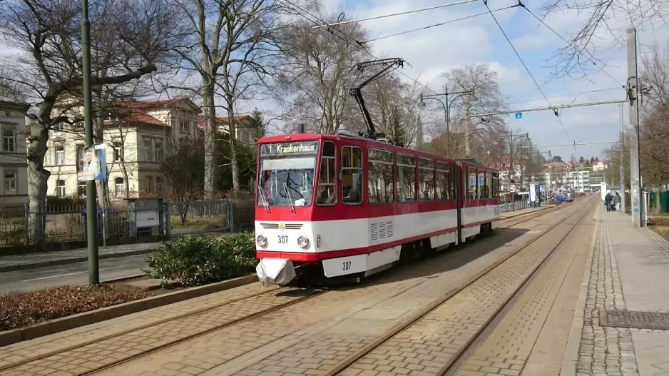 Gotha sporvogn bylinje (2018)