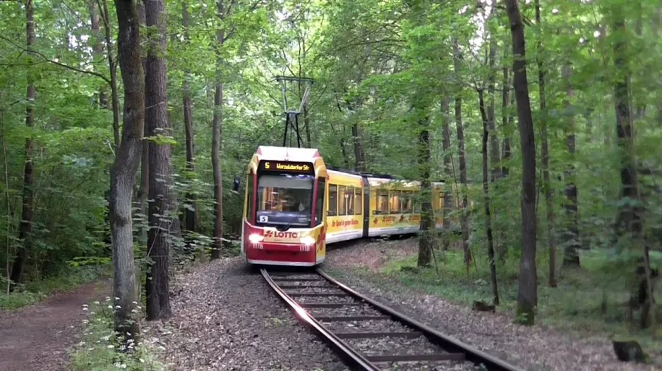 Nürnberg Zoo (sporvogn)